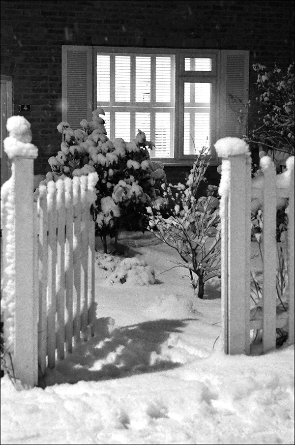 © Geoff Wikinson who writes on his Wanstead Daily Photo blog: "Thick snow, freezing cold, a long day but the light shining through the window and the open garden gate was a welcoming sight."