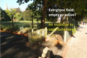 evergreencover