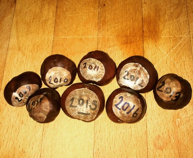 Wansteadium's collections of conkers - all from Christ Church Green, one from each year that this site has been running