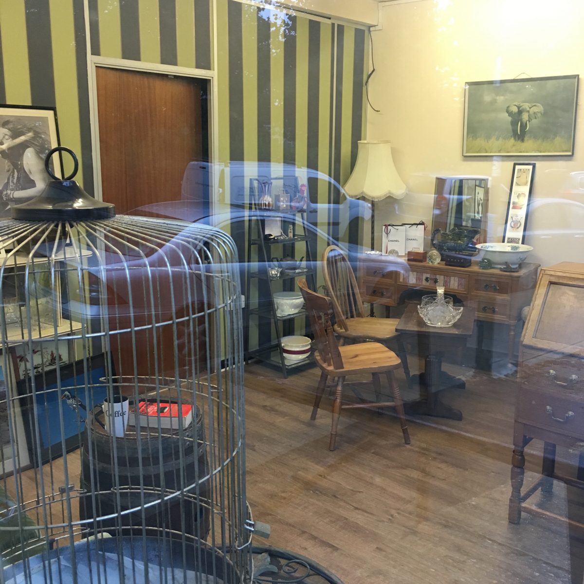 Suddenly the most interesting shop in Wanstead Wansteadium