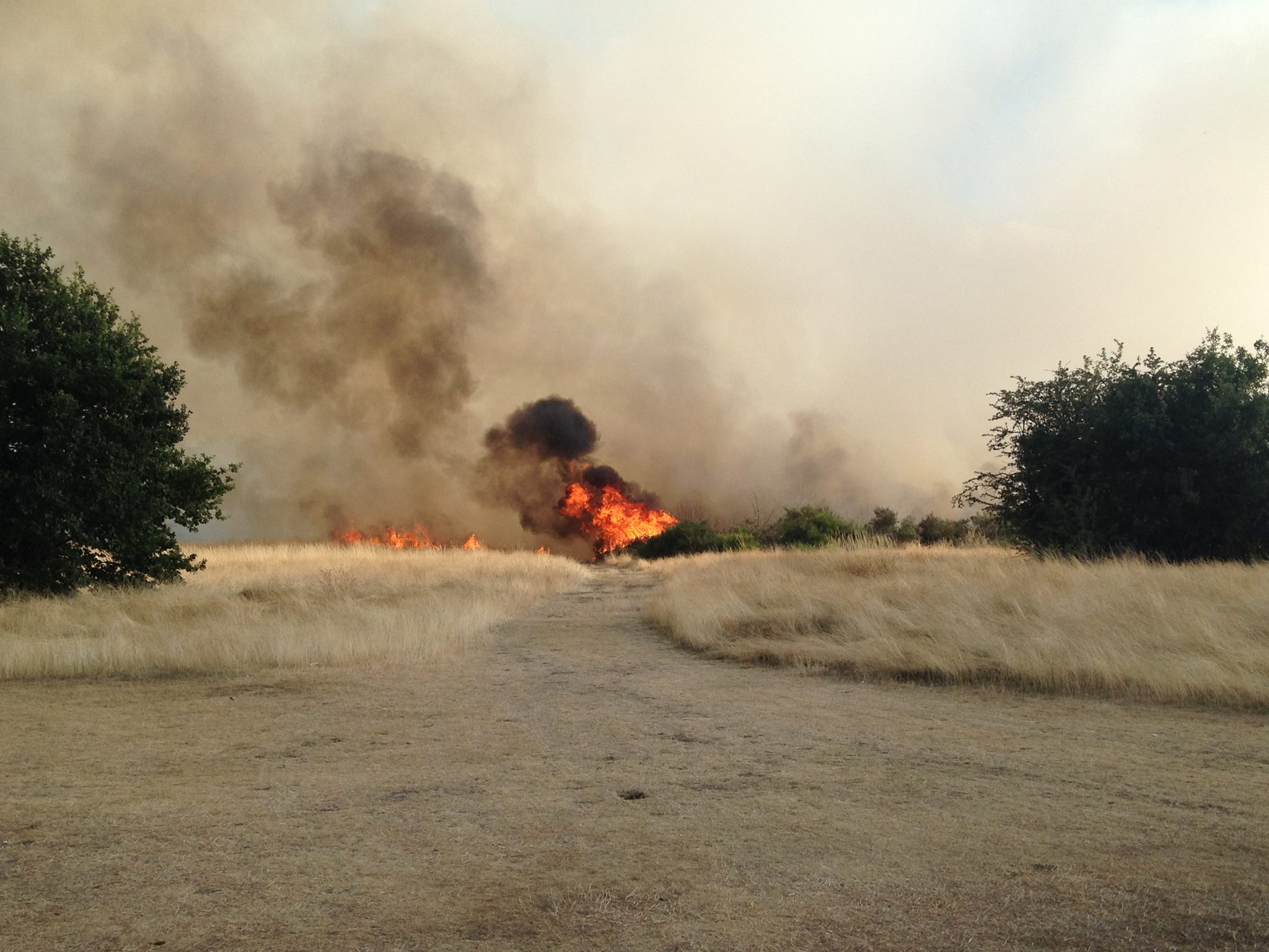 More Wanstead Flats fire pics Wansteadium