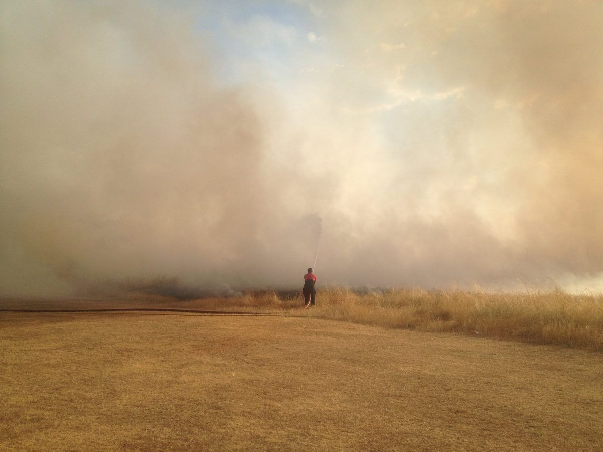 More Wanstead Flats fire pics Wansteadium