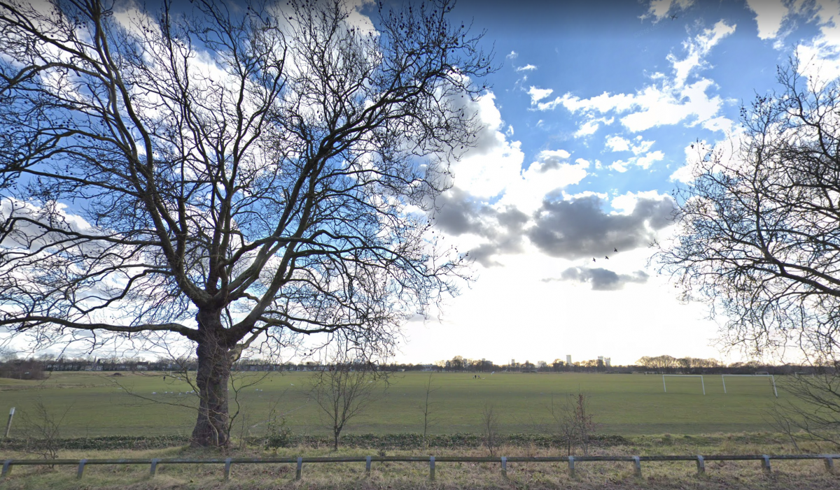 No fireworks for Wanstead Flats, as festival opposition organises