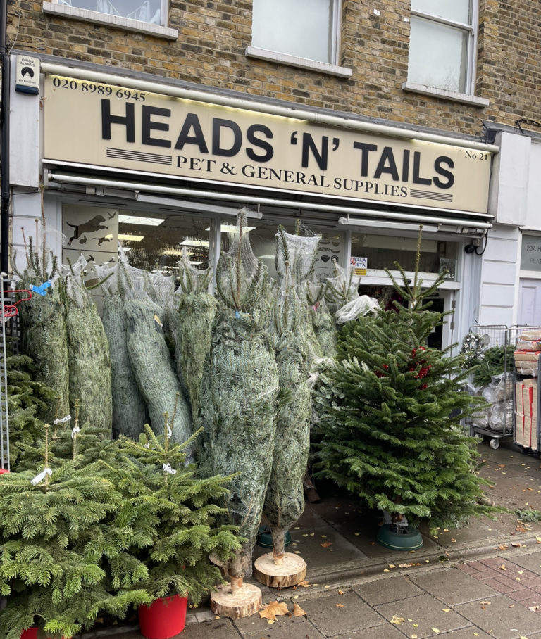 Christmas tree sales start early Wansteadium